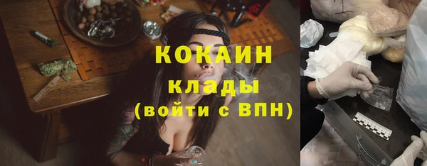молекула духа Ленск
