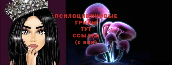 мяу мяу мука Инта