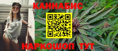 прущие крисы Камышлов