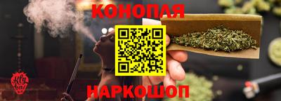 прущие крисы Камышлов