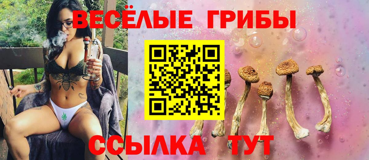 Псилоцибиновые грибы GOLDEN TEACHER Сердобск